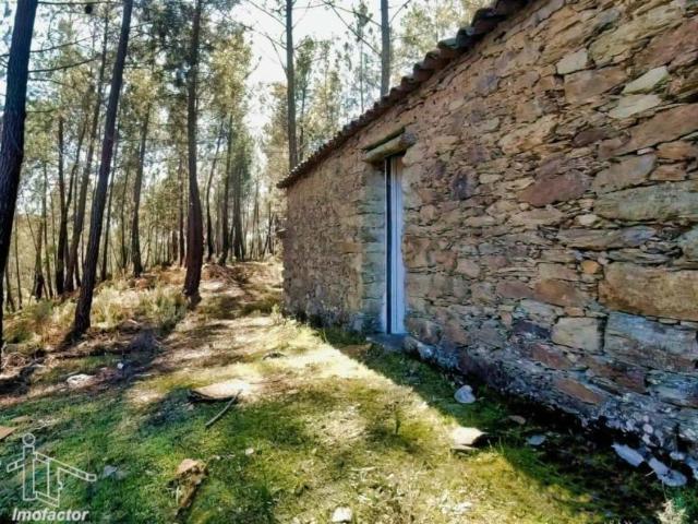 Terreno venda em Castelo Branco