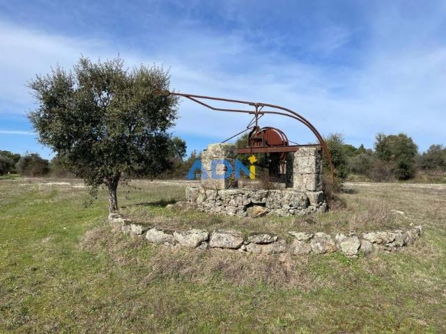 Terreno venda em Castelo Branco