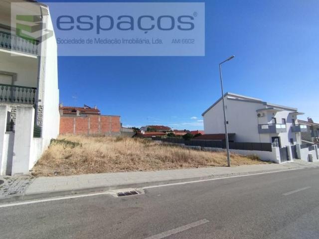 Terreno venda em Castelo Branco