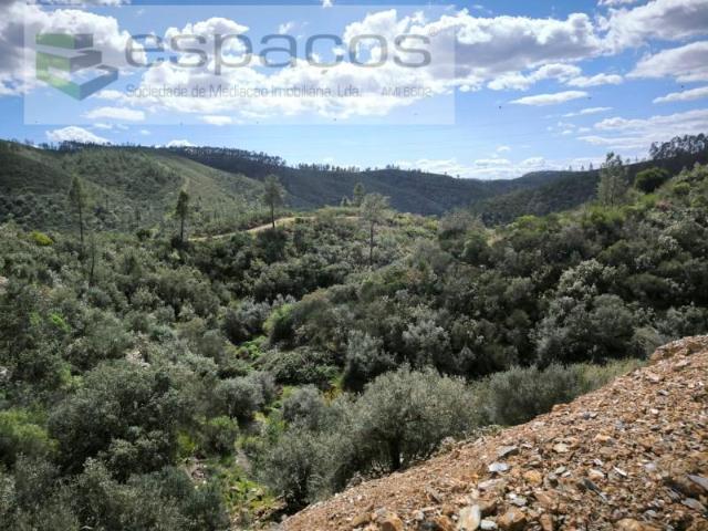 Terreno venda em Castelo Branco