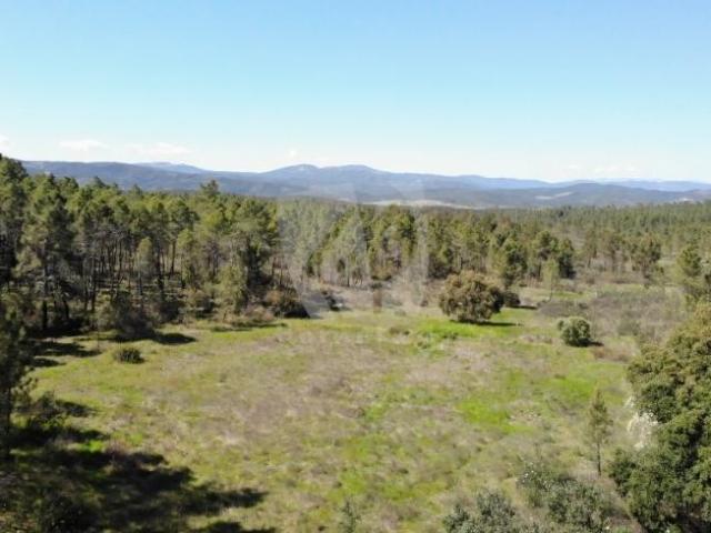 Terreno venda em Castelo Branco