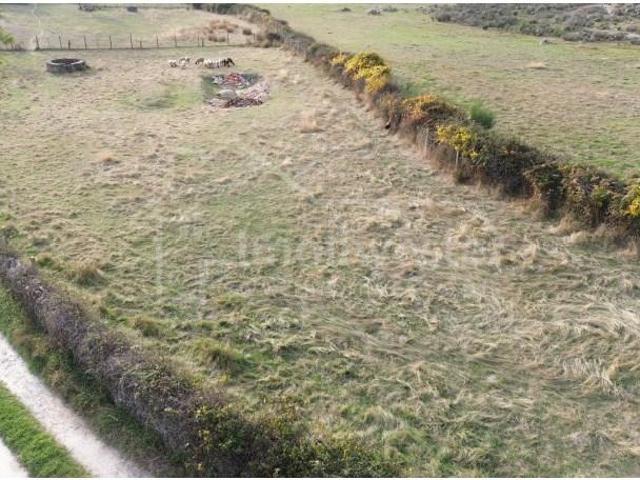 Terreno venda em Castelo Branco