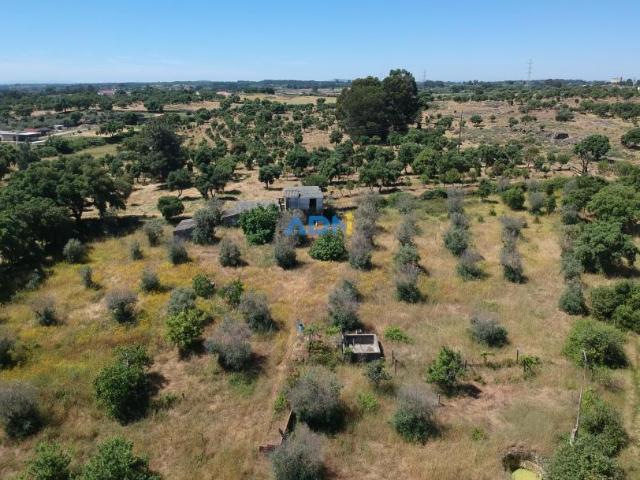 Terreno venda em Castelo Branco