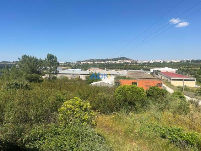 Terreno venda em Castelo Branco