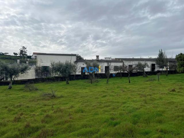 Terreno venda em Castelo Branco
