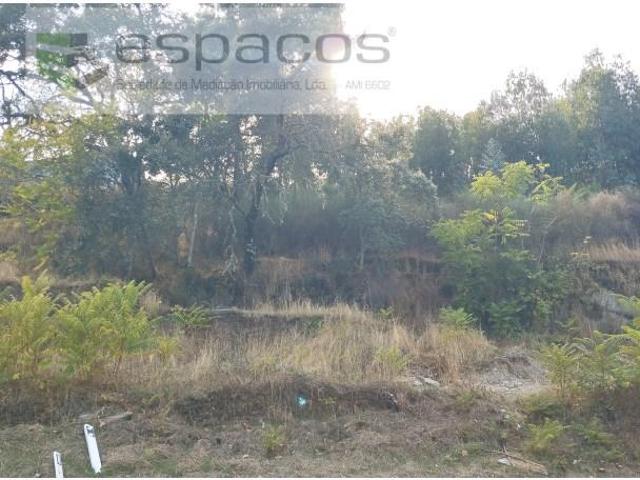 Terreno venda em Castelo Branco