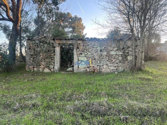 Terreno venda em Castelo Branco
