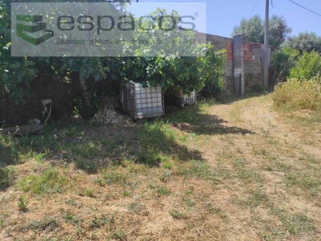Terreno venda em Castelo Branco