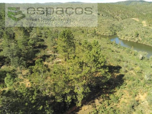 Terreno venda em Castelo Branco