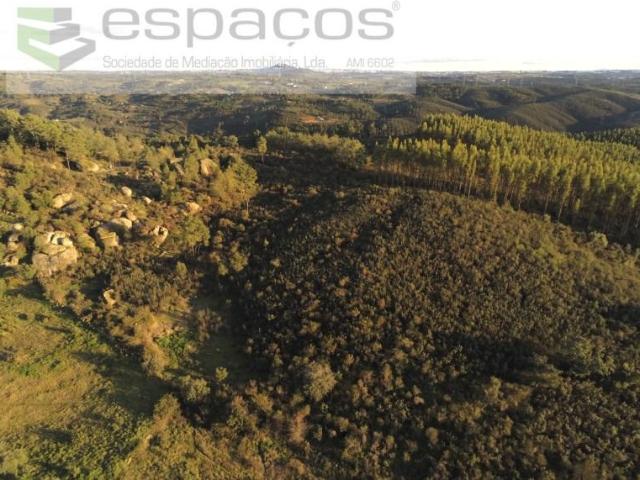 Terreno venda em Castelo Branco