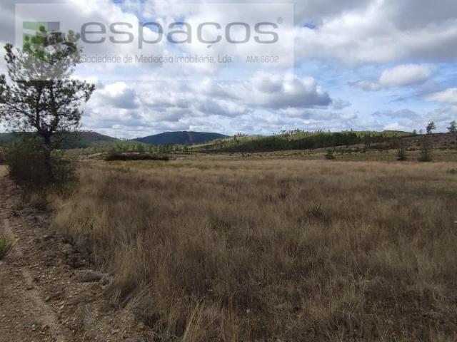 Terreno venda em Castelo Branco