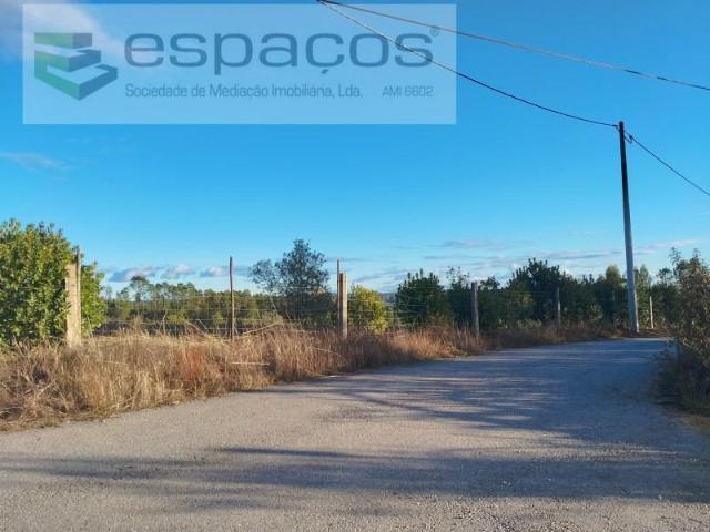 Terreno venda em Castelo Branco
