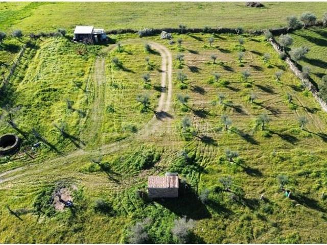 Terreno venda em Castelo Branco