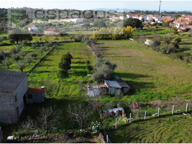 Terreno venda em Castelo Branco