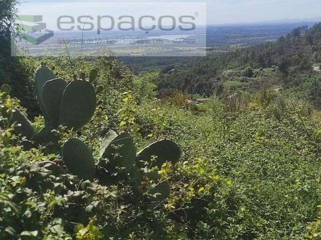 Terreno venda em Castelo Branco