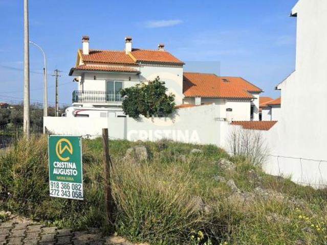 Terreno venda em Castelo Branco