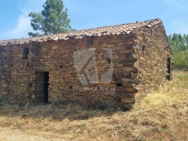 Terreno venda em Castelo Branco