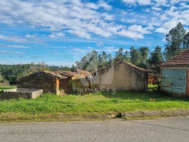 Terreno venda em Castelo Branco