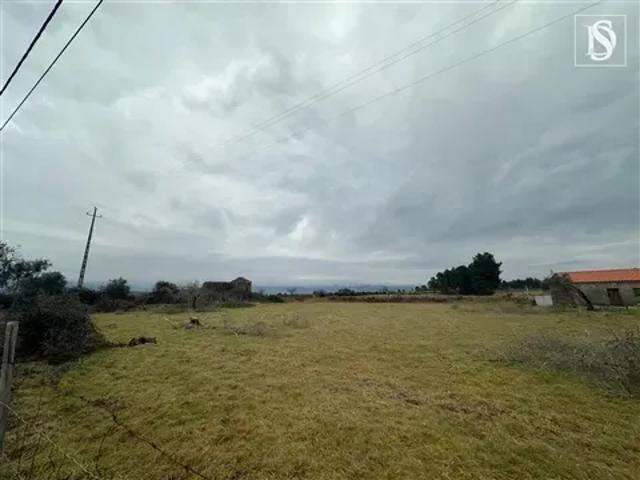 Terreno venda em Castelo Branco