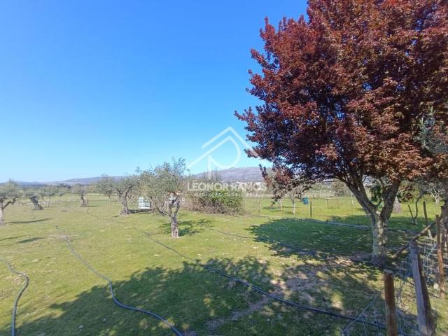 Casa venda em Castelo Branco, Aldeia Nova Do Cabo