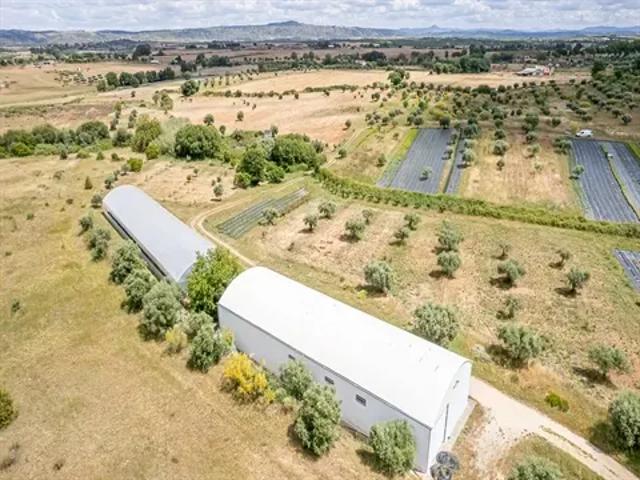 Terreno venda em Castelo Branco, Idanha-a-nova