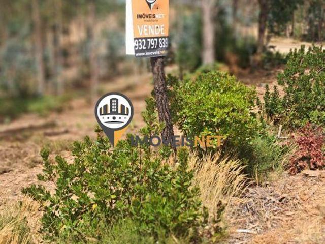 Terreno venda em Orvalho, Oleiros