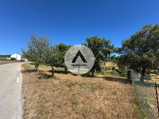Terreno venda em Castelo Branco, Proença-a-nova