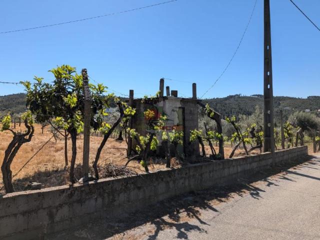 Terreno venda em Castelo Branco, Cumeada