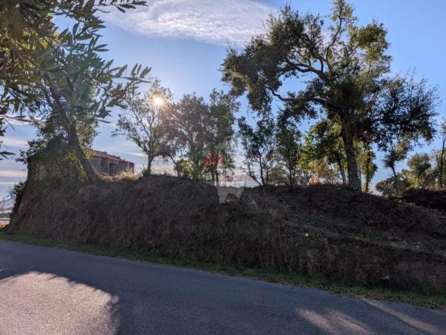 Terreno venda em Castelo Branco, Cumeada