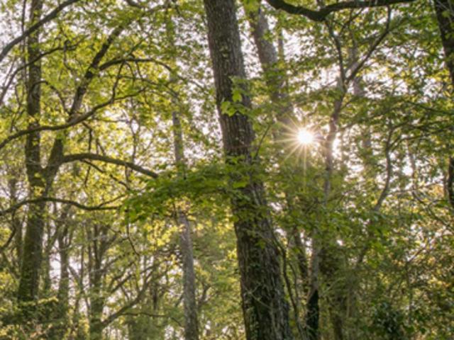 Appartement vente à Dax, Castets