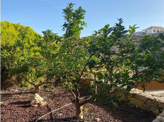 Casa en venta en Los Puertos de Santa Bárbara, Campo de Cartagena y Mar Menor