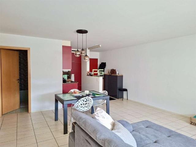 Apartment mieten in Castione, Arbedo-Castione