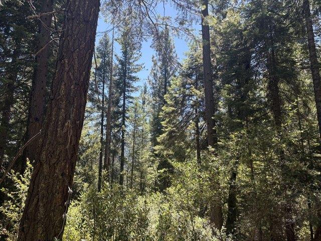 Land for sale in Shasta, California