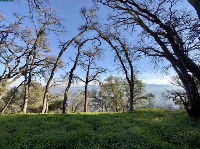 Land for sale in Alamo, California