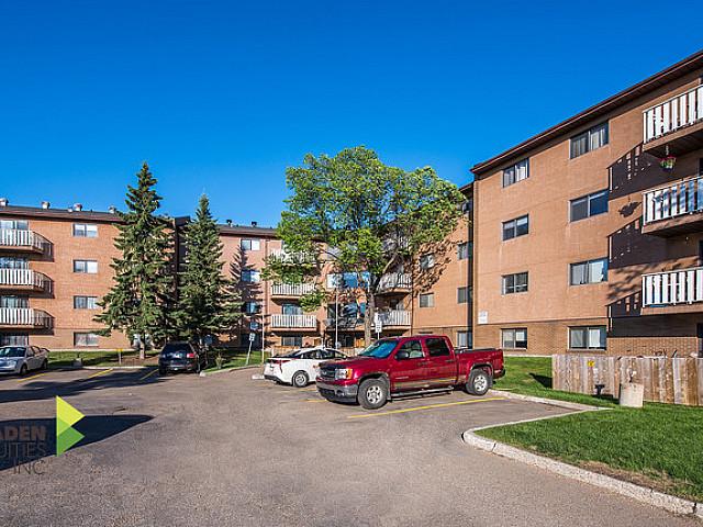 Apartment for rent in Wedgewood, Alberta