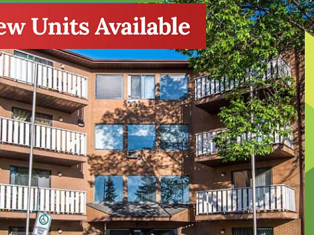 Apartment for rent in Wedgewood, Alberta
