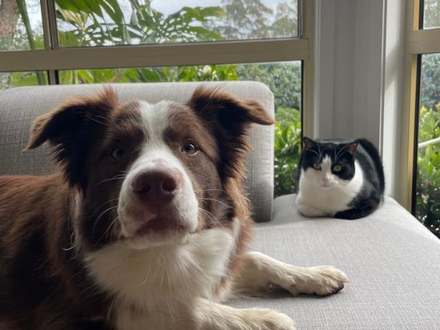 Room for rent in Sydney, New South Wales
