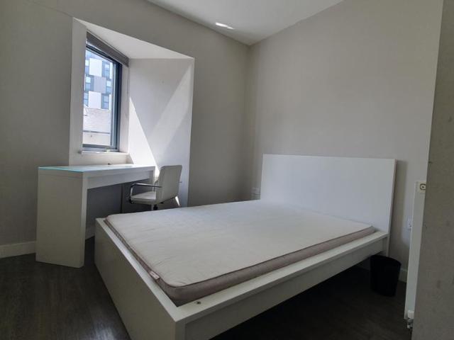 Apartment for rent in Plasnewydd, Falcon Lodge