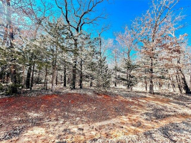 Land for sale in Gordonville, Texas