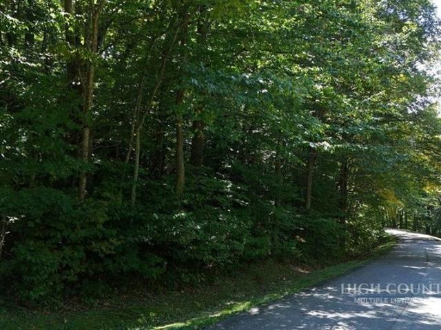 Land for sale in Banner Elk, Avery County