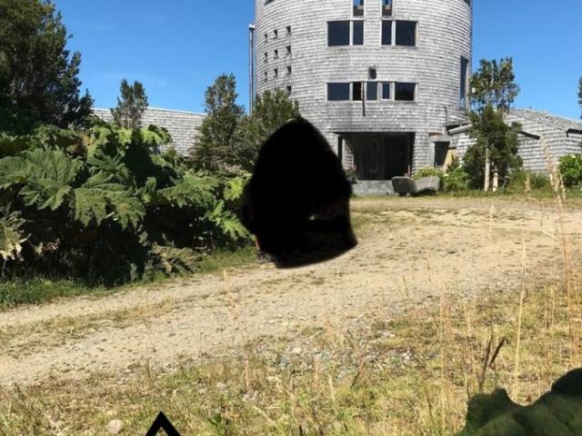 Castro, chonchi