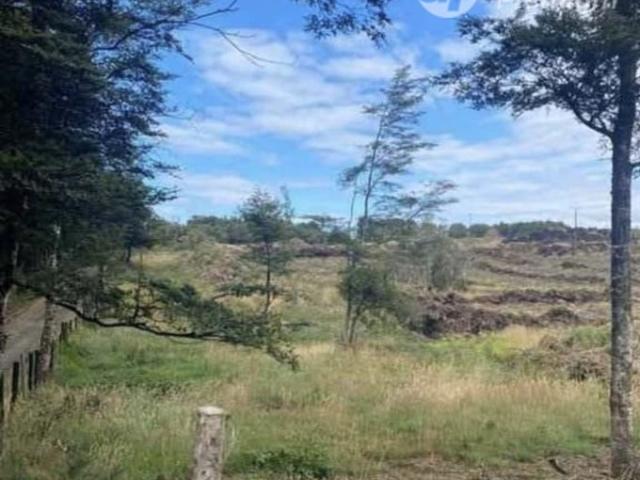 Castro, curahue a 30 minutos de castro