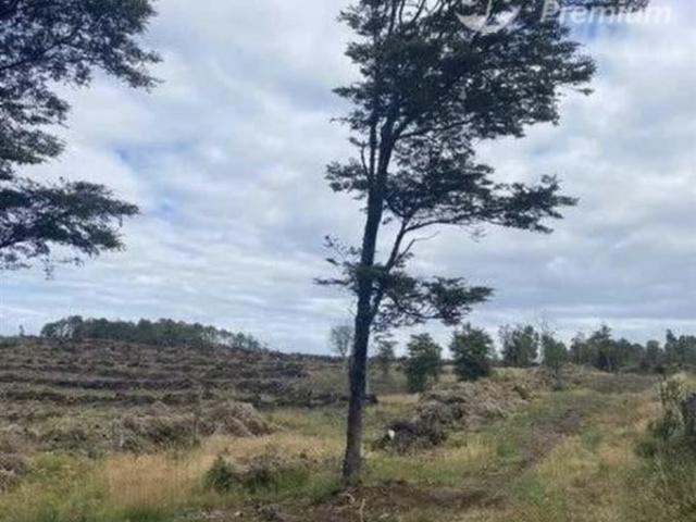 Castro, curahue a 30 minutos de castro