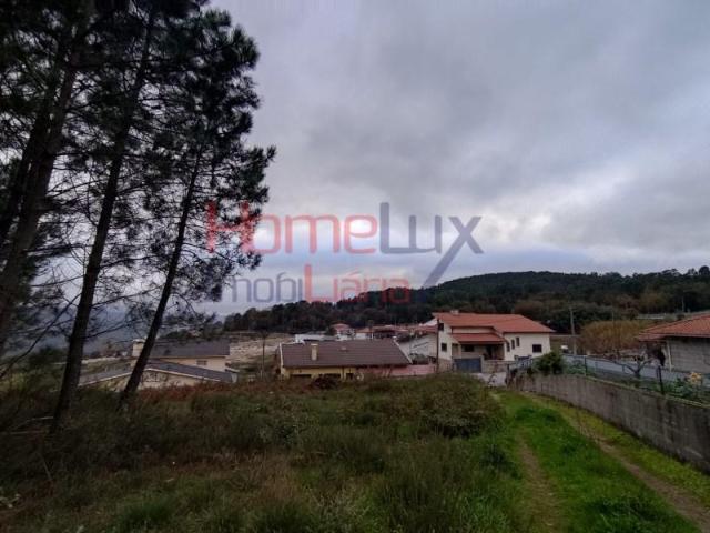 Terreno venda em Castro Daire, Viseu