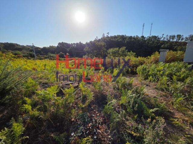 Terreno venda em Castro Daire, Viseu