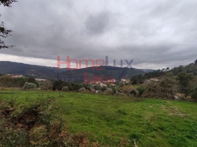 Terreno venda em Castro Daire, Viseu