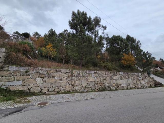 Terreno venda em Castro Daire, Viseu
