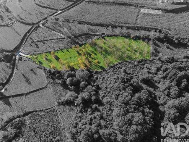 Terreno venda em Braços de Cá, Castro Daire