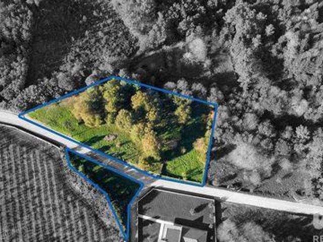 Terreno venda em Castro Daire, Viseu