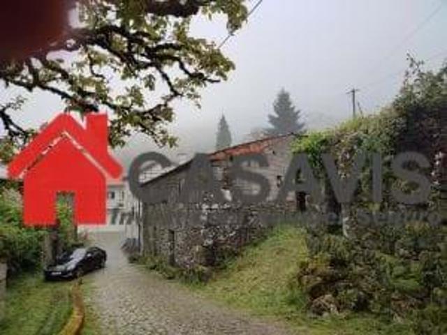 Terreno venda em Castro Daire, Viseu